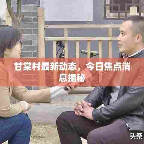 甘棠村最新动态,今日焦点消息揭秘