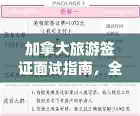加拿大旅游签证面试指南,全方位攻略助你成功面试!