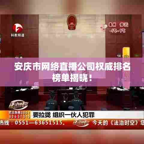 安庆市网络直播公司权威排名榜单揭晓!