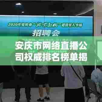 安庆市网络直播公司权威排名榜单揭晓!