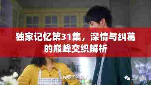 独家记忆第31集，深情与纠葛的巅峰交织解析