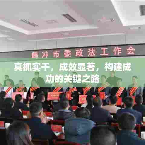 真抓实干,成效显著,构建成功的关键之路