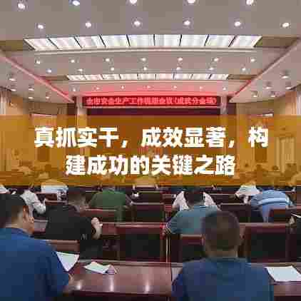 真抓实干,成效显著,构建成功的关键之路
