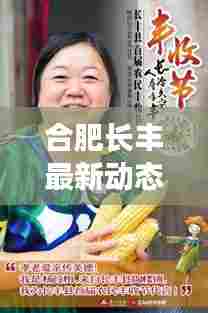 合肥长丰最新动态今日揭秘