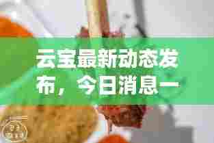 云宝最新动态发布，今日消息一网打尽！