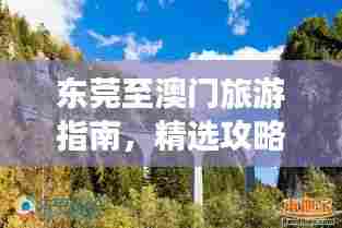 东莞至澳门旅游指南，精选攻略，带你畅游两地美景
