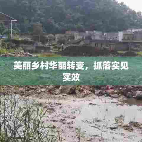 美丽乡村华丽转变，抓落实见实效