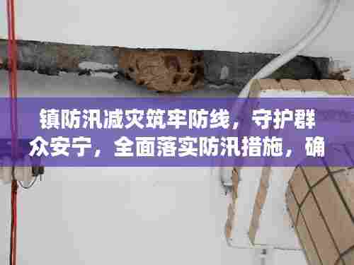 镇防汛减灾筑牢防线，守护群众安宁，全面落实防汛措施，确保安全度汛