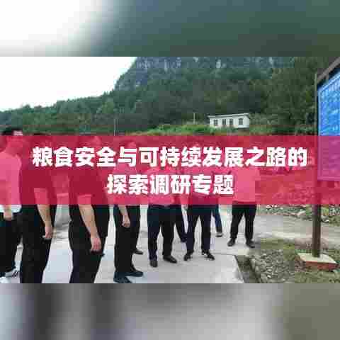粮食安全与可持续发展之路的探索调研专题
