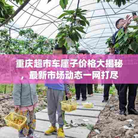 重庆超市车厘子价格大揭秘，最新市场动态一网打尽