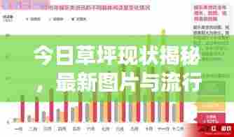 今日草坪现状揭秘，最新图片与流行趋势概览