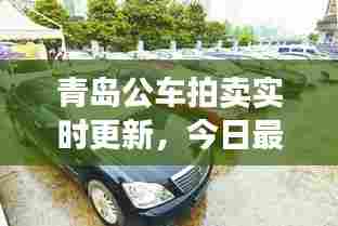 青岛公车拍卖实时更新，今日最新动态抢先看