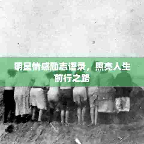 明星情感励志语录，照亮人生前行之路