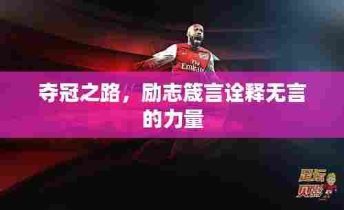 夺冠之路，励志箴言诠释无言的力量