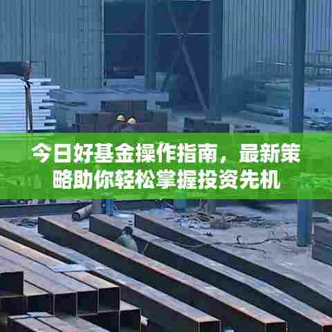 今日好基金操作指南,最新策略助你轻松掌握投资先机