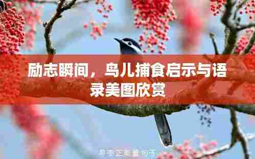 栖冲业简 第6页