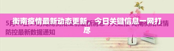 衡南疫情最新动态更新,今日关键信息一网打尽