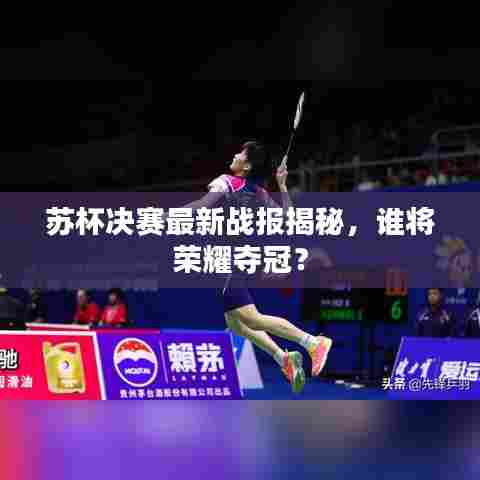苏杯决赛最新战报揭秘，谁将荣耀夺冠？