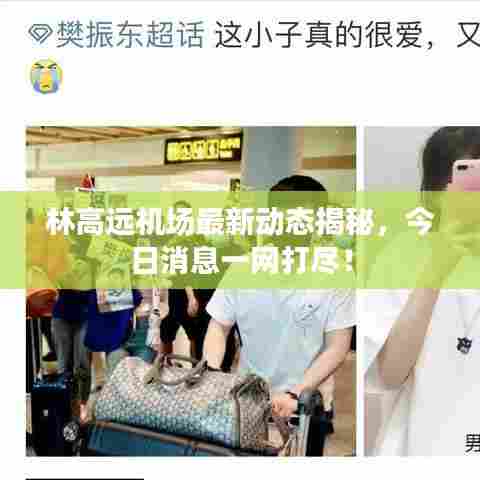 林高远机场最新动态揭秘，今日消息一网打尽！