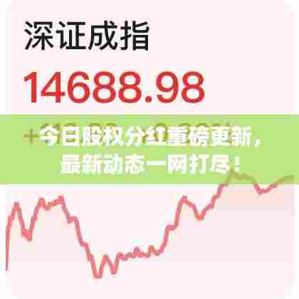 今日股权分红重磅更新,最新动态一网打尽!