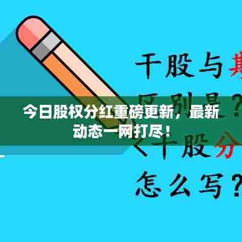 今日股权分红重磅更新,最新动态一网打尽!