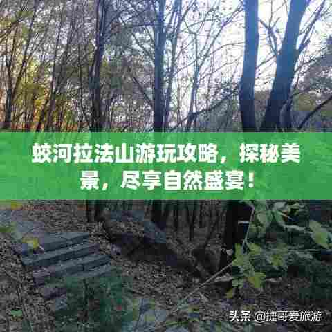 蛟河拉法山游玩攻略,探秘美景,尽享自然盛宴!