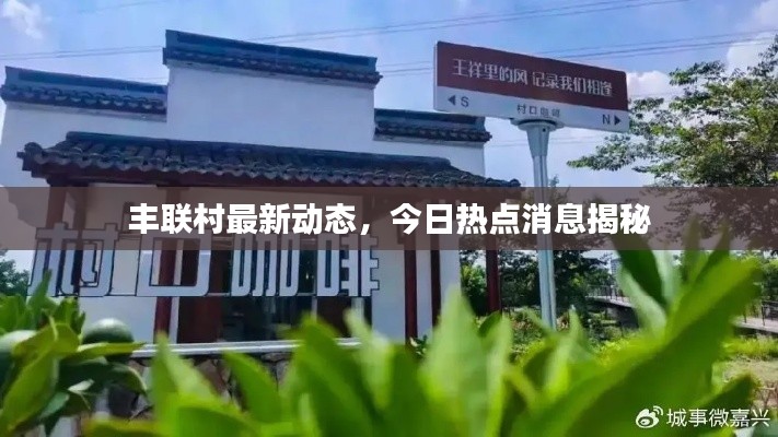 丰联村最新动态，今日热点消息揭秘