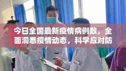 今日全国最新疫情病例数，全面洞悉疫情动态，科学应对防控挑战