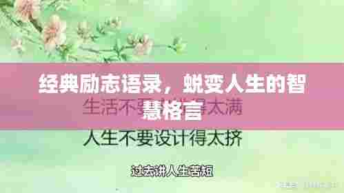 经典励志语录，蜕变人生的智慧格言