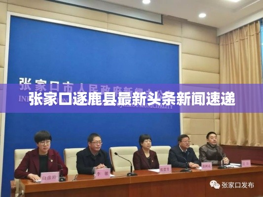 张家口逐鹿县最新头条新闻速递