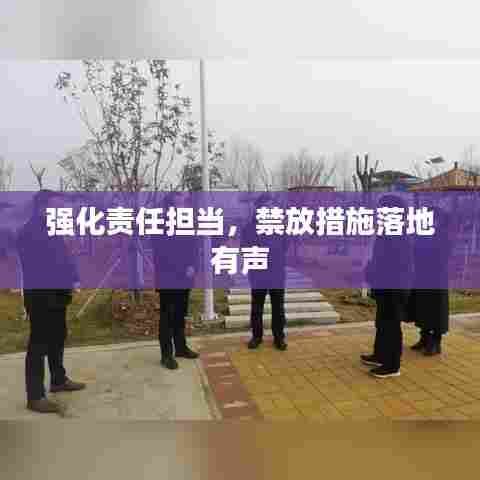 强化责任担当，禁放措施落地有声