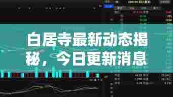 白居寺最新动态揭秘，今日更新消息抢先看