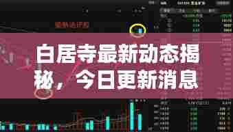 白居寺最新动态揭秘,今日更新消息抢先看