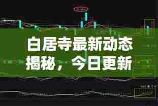白居寺最新动态揭秘,今日更新消息抢先看