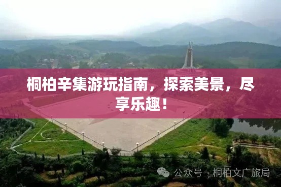 桐柏辛集游玩指南，探索美景，尽享乐趣！