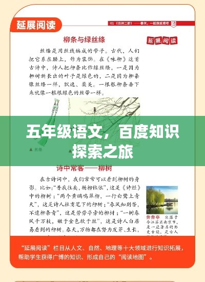五年级语文，百度知识探索之旅