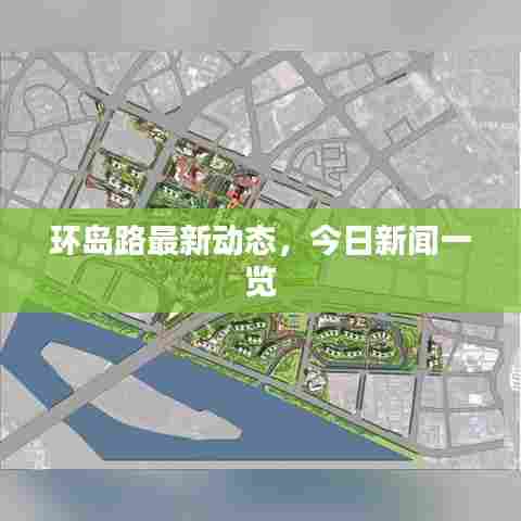 环岛路最新动态，今日新闻一览