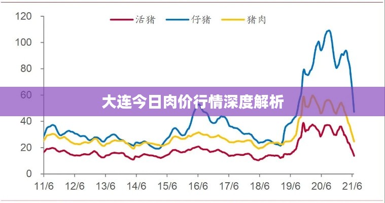 大连今日肉价行情深度解析