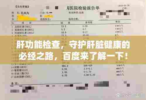 肝功能检查，守护肝脏健康的必经之路，百度来了解一下！