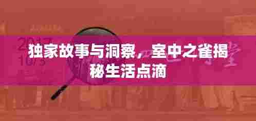独家故事与洞察，室中之雀揭秘生活点滴