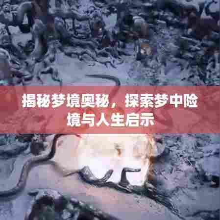 鸟为食亡 第6页