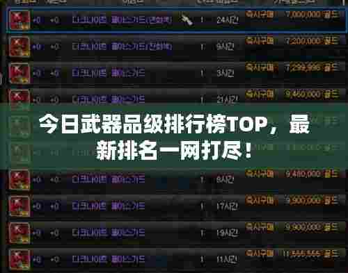 今日武器品级排行榜TOP，最新排名一网打尽！