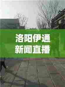 洛阳伊通新闻直播，古都新貌尽收眼底