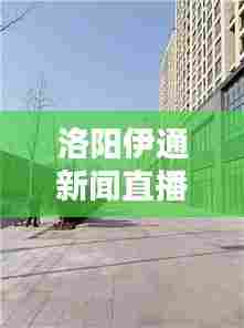 洛阳伊通新闻直播,古都新貌尽收眼底