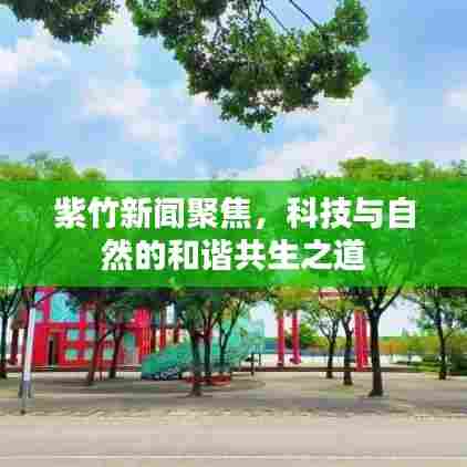 紫竹新闻聚焦，科技与自然的和谐共生之道