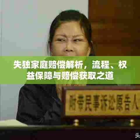 失独家庭赔偿解析,流程、权益保障与赔偿获取之道