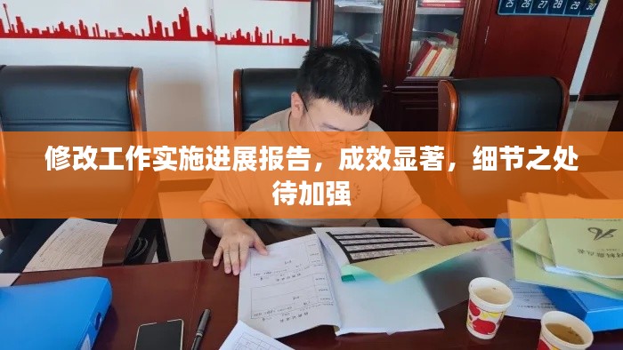 修改工作实施进展报告，成效显著，细节之处待加强