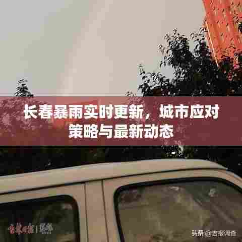 长春暴雨实时更新,城市应对策略与最新动态