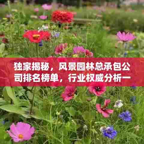 独家揭秘，风景园林总承包公司排名榜单，行业权威分析一网打尽！