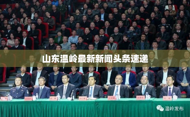 山东温岭最新新闻头条速递